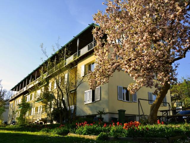 Rent a 2 ½ rooms apartment in Solothurn Flatfox