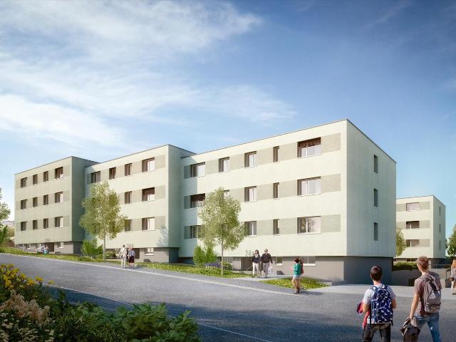 Rent a 2 ½ rooms apartment in Solothurn Flatfox