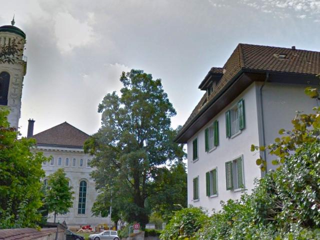 Rent a 2 rooms apartment in Solothurn Flatfox