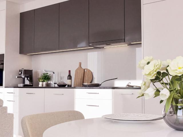 Rent a 2 ½ rooms apartment in Solothurn Flatfox