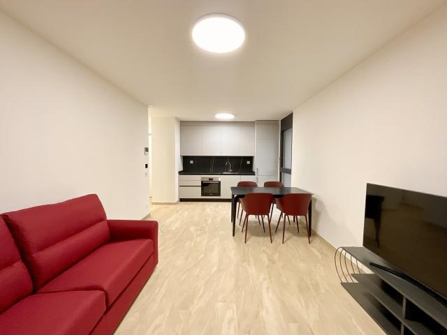 Rent a 2 ½ rooms apartment in Sorengo Flatfox