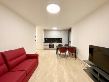 Rent a 2 ½ rooms apartment in Sorengo Flatfox