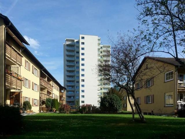 Rent a 2 ½ rooms apartment in Schaffhausen Flatfox