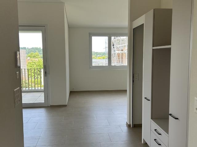 Rent a 2 ½ rooms apartment in Schinznach Dorf Flatfox