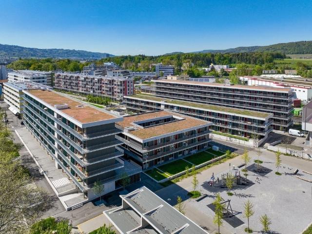 Rent a 2 rooms apartment in Schlieren Flatfox