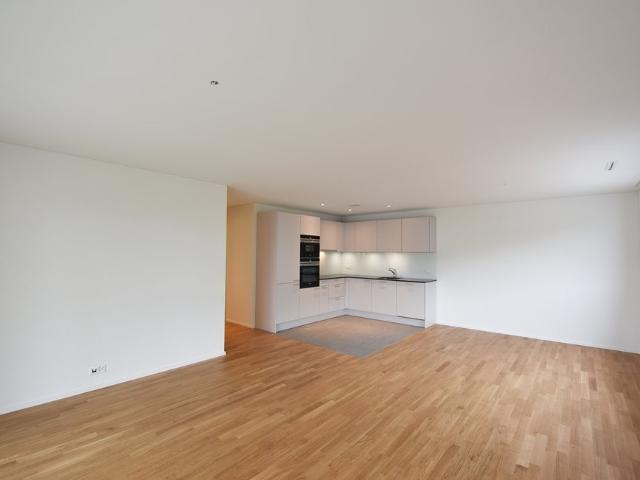 Rent a 2 ½ rooms apartment in Schmerikon Flatfox