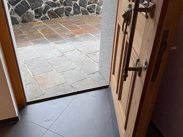 Rent a 2 ½ rooms apartment in Schmitten Flatfox