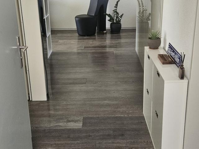 Rent a 2 ½ rooms apartment in Schwerzenbach Flatfox