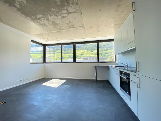 Rent a 2 ½ rooms apartment in Sion Flatfox