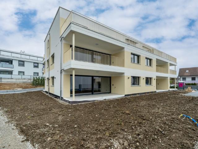 Rent a 2 ½ rooms apartment in Starrkirch Wil Flatfox