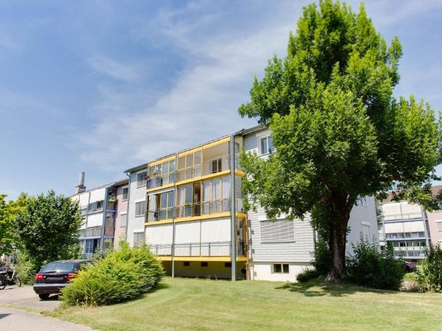 Rent a 2 rooms apartment in Steinach Flatfox