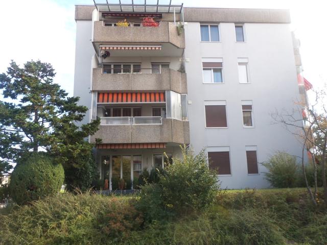 Rent a 2 rooms apartment in Subingen Flatfox
