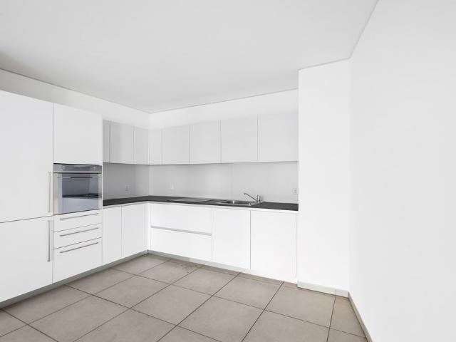 Rent a 2 ½ rooms apartment in Paradiso Flatfox