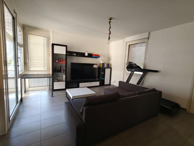 Rent a 2 ½ rooms apartment in Paradiso Flatfox