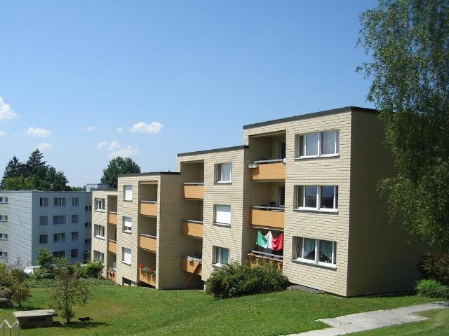 Rent a 2 rooms apartment in Pfäffikon ZH Flatfox
