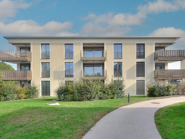 Rent a 2 ½ rooms apartment in Roggwil BE Flatfox