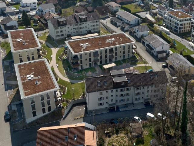 Rent a 2 rooms apartment in Roggwil BE Flatfox