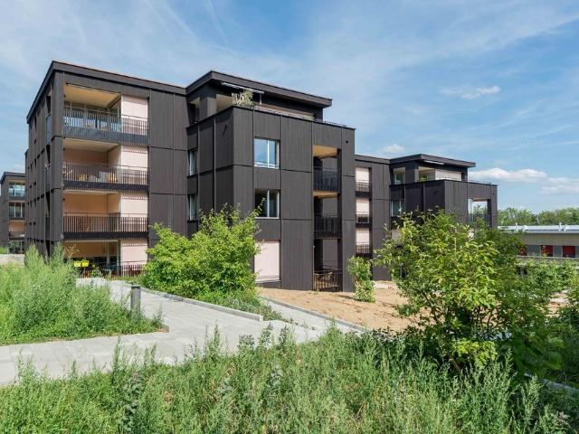 Rent a 2 ½ rooms apartment in Rombach Flatfox