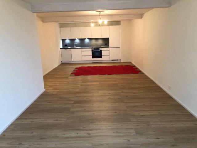 Rent a 2 ½ rooms apartment in Root Flatfox