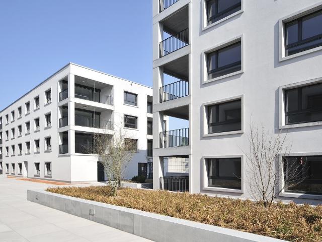Rent a 2 ½ rooms apartment in Rorschach Flatfox
