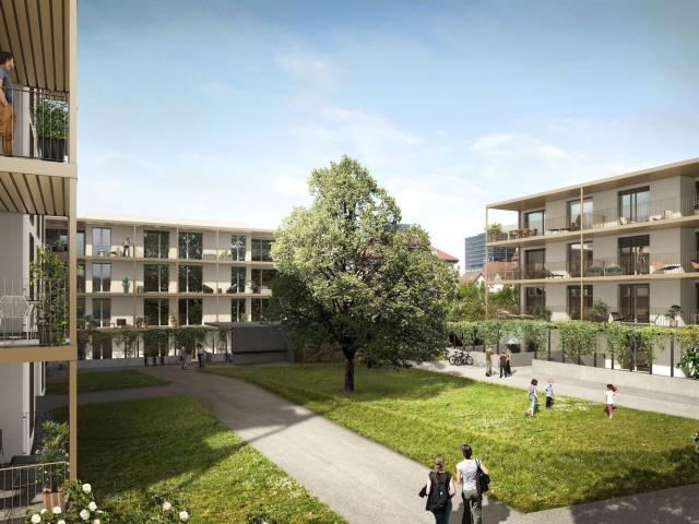 Rent a 2 ½ rooms apartment in Rorschach Flatfox