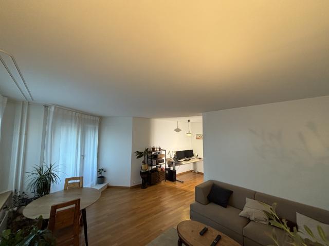 Rent a 2 ½ rooms apartment in Rapperswil Flatfox