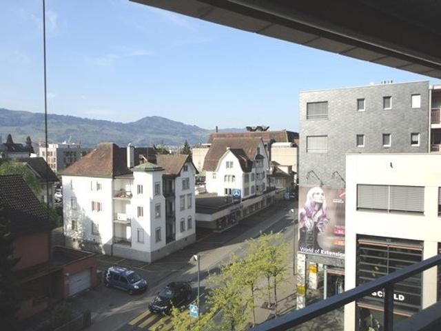 Rent a 2 rooms apartment in Rapperswil SG Flatfox