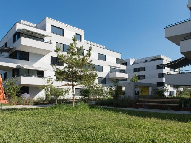 Rent a 2 ½ rooms apartment in Regensdorf Flatfox