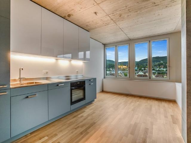 Rent a 2 ½ rooms apartment in Reinach Flatfox