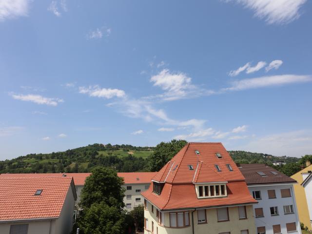 Rent a 2 rooms apartment in Riehen Flatfox