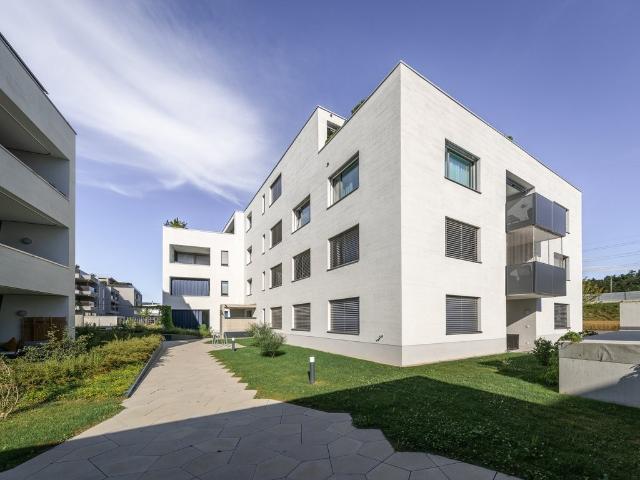 Rent a 2 ½ rooms apartment in Rupperswil Flatfox
