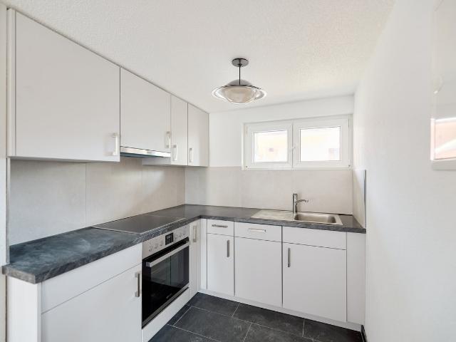 Rent a 2 ½ rooms apartment in Wolfwil Flatfox