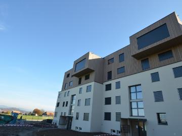 Rent a 2 ½ rooms apartment in Wabern Flatfox