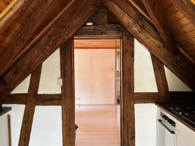 Rent a 2 ½ rooms apartment in Wädenswil Flatfox