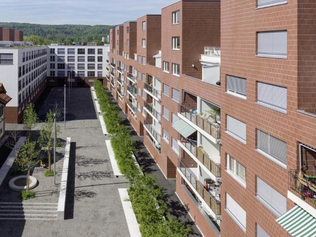 Rent a 2 ½ rooms apartment in Wallisellen Flatfox