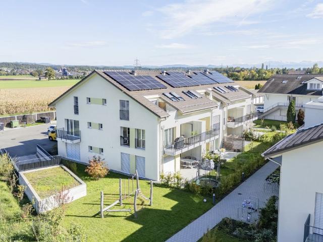 Rent a 2 ½ rooms apartment in Waltenschwil Flatfox