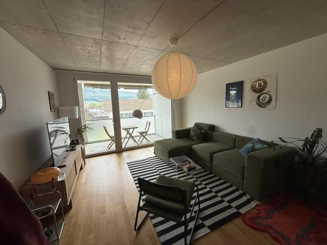 Rent a 2 ½ rooms apartment in Wangen bei Olten Flatfox