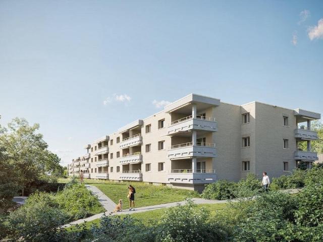 Rent a 2 ½ rooms apartment in Widen Flatfox