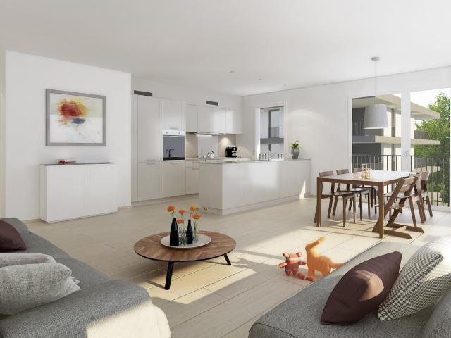 Rent a 2 ½ rooms apartment in Widen Flatfox
