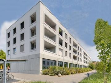 Rent a 2 ½ rooms apartment in Windisch Flatfox