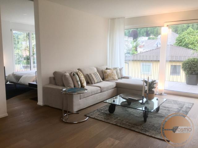 Rent a 2 ½ rooms apartment in Thalwil Flatfox