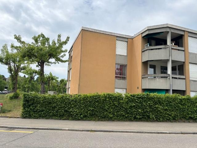 Rent a 2 rooms apartment in Turgi Flatfox