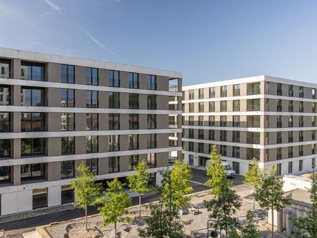 Rent a 2 ½ rooms apartment in Unterkulm Flatfox
