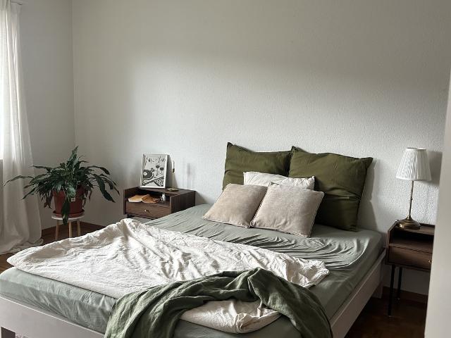 Rent a 2 rooms apartment in Untersiggenthal Flatfox