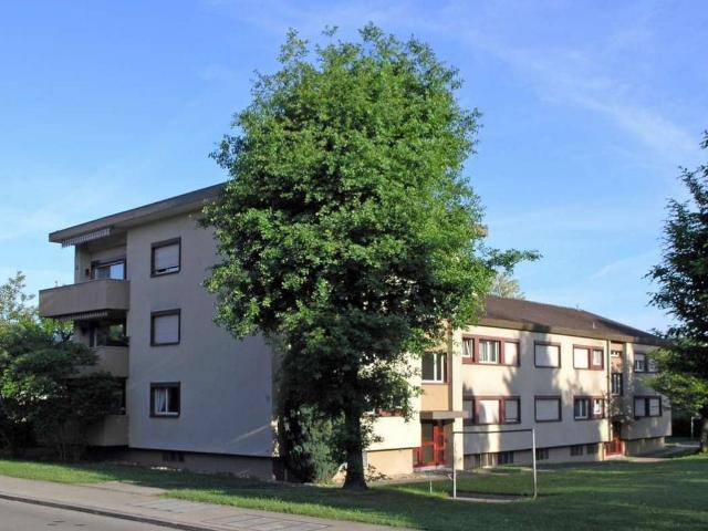 Rent a 2 ½ rooms apartment in Urdorf Flatfox