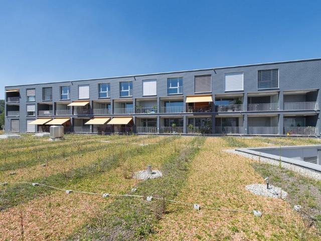 Rent a 2 ½ rooms apartment in Urdorf Flatfox