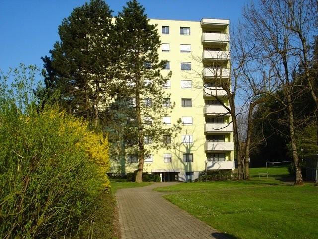 Rent a 2 ½ rooms apartment in Uster Flatfox