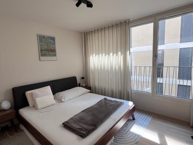 Rent a 2 ½ rooms apartment in Uster Flatfox