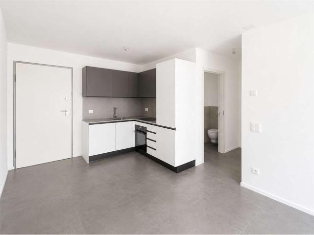 Rent a 2 ½ rooms apartment in Vacallo Flatfox