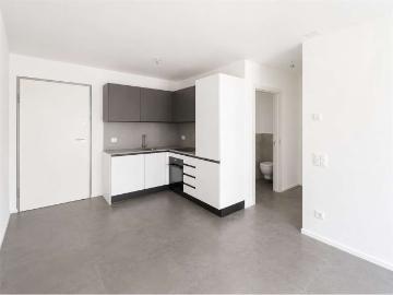 Rent a 2 ½ rooms apartment in Vacallo Flatfox